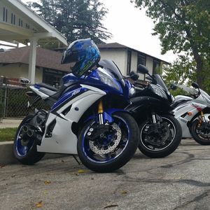 Meet your Posher, Armando